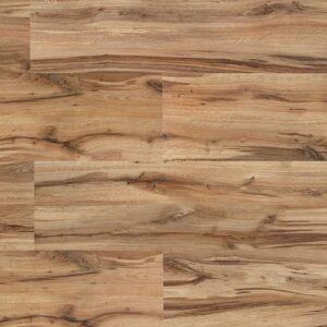 Laminado New Evidence Carvalho Cordoba